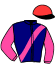 casaque portée par Legros L. J. jockey du cheval de course KOQUIN DU PERCHE, information pmu ZETURF casaque portée par Legros L. J. jockey du cheval de course KOQUIN DU PERCHE, information pmu ZETURF