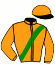 casaque portée par Roelens Luc jockey du cheval de course LEONARD PEEL, information pmu ZETURF