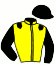 casaque portée par Lefebvre G. jockey du cheval de course LOUMY DU RILER, information pmu ZETURF
