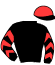casaque portée par Jublot I. jockey du cheval de course DIEGO DELAVERA (FR), information pmu ZETURF