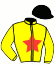 casaque portée par De Vaugiraud A. jockey du cheval de course HORIZON DE BLAY, information pmu ZETURF