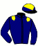 casaque portée par Meyer Mlle M. jockey du cheval de course ORLANE D'ERVAL (AR), information pmu ZETURF