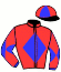 casaque portée par Velon Mlle M. jockey du cheval de course MADE TO LEAD (FR), information pmu ZETURF