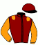 casaque portée par Revolte E. jockey du cheval de course RONEO (FR), information pmu ZETURF