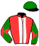 casaque portée par Eyquem Jb. jockey du cheval de course DIHYA DE MONLAU (AR), information pmu ZETURF