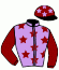 casaque portée par Foulon M. jockey du cheval de course HOPEFUL LY (FR), information pmu ZETURF
