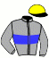 casaque portée par Fourcade R. jockey du cheval de course HAKANTE TROIS, information pmu ZETURF