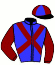 casaque portée par Werle A. jockey du cheval de course FLAMME DE CANDALE, information pmu ZETURF