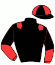 casaque portée par Foulon M. jockey du cheval de course WINNX, information pmu ZETURF