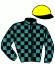 casaque portée par Crastus A. jockey du cheval de course FAMOSO, information pmu ZETURF