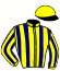 casaque portée par Werle A. jockey du cheval de course CORIMBO, information pmu ZETURF casaque portée par Werle A. jockey du cheval de course CORIMBO, information pmu ZETURF