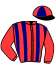 casaque portée par Mekouche Mlle A. jockey du cheval de course ESPERANCE CHAUFOUR, information pmu ZETURF
