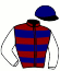 casaque portée par Werle A. jockey du cheval de course RICHMOND, information pmu ZETURF