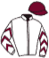 casaque portée par Gavilan Ale. jockey du cheval de course ROUGE, information pmu ZETURF
