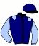 casaque portée par Blot P. jockey du cheval de course HORTENSE DE GANE, information pmu ZETURF