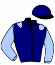 casaque portée par Blot P. jockey du cheval de course HORTENSE DE GANE, information pmu ZETURF casaque portée par Blot P. jockey du cheval de course HORTENSE DE GANE, information pmu ZETURF