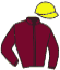 casaque portée par Blot P. jockey du cheval de course JOLIETTE COLLONGES, information pmu ZETURF