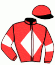 casaque portée par Dubord Rom. jockey du cheval de course SORIANE, information pmu ZETURF