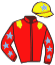 casaque portée par Foulon M. jockey du cheval de course FUSEE DE PORCHE, information pmu ZETURF