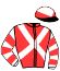 casaque portée par Plateaux J. jockey du cheval de course FORZA SEDACA, information pmu ZETURF