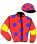 casaque portée par Seguy V. jockey du cheval de course DAYAL, information pmu ZETURF casaque portée par Seguy V. jockey du cheval de course DAYAL, information pmu ZETURF
