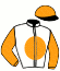 casaque portée par Marquette Max. jockey du cheval de course FURIOSO, information pmu ZETURF casaque portée par Marquette Max. jockey du cheval de course FURIOSO, information pmu ZETURF
