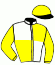 casaque portée par Piccone T. jockey du cheval de course BLUE SEABIRD, information pmu ZETURF