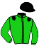casaque portée par Seguy V. jockey du cheval de course DAME AUDIENCIA, information pmu ZETURF