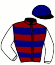 casaque portée par Denti Gio. jockey du cheval de course RICHMOND, information pmu ZETURF