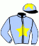 casaque portée par Forest M. jockey du cheval de course DELFINA NONANTAISE, information pmu ZETURF casaque portée par Forest M. jockey du cheval de course DELFINA NONANTAISE, information pmu ZETURF