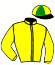 casaque portée par Veron F. jockey du cheval de course EDELWEIS DU CARNOT, information pmu ZETURF casaque portée par Veron F. jockey du cheval de course EDELWEIS DU CARNOT, information pmu ZETURF