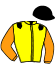 casaque portée par Valle Skar Mlle F. jockey du cheval de course CITE MALESHERBES, information pmu ZETURF casaque portée par Valle Skar Mlle F. jockey du cheval de course CITE MALESHERBES, information pmu ZETURF