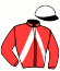 casaque portée par Clozier F. jockey du cheval de course INES DE CESNY, information pmu ZETURF