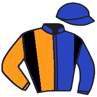 casaque portée par Magnenat Mme L. jockey du cheval de course HOLY MOSES MEARAS, information pmu ZETURF