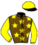 casaque portée par Radoux Th. jockey du cheval de course DESTIN DE LINIERES (FR), information pmu ZETURF