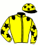 casaque portée par Lemoine A. jockey du cheval de course CALIPOSTE (FR), information pmu ZETURF
