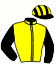 casaque portée par Jublot L. jockey du cheval de course HIDALGO HERBLINAIE (FR), information pmu ZETURF