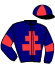 casaque portée par Bacsich Mlle M. jockey du cheval de course HOGAN DE HOUELLE (FR), information pmu ZETURF