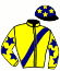 casaque portée par Raffin E. jockey du cheval de course HAVANE DE PAIL (FR), information pmu ZETURF