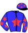 casaque portée par Marie H. jockey du cheval de course HENAO DE VICTHI, information pmu ZETURF