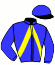 casaque portée par Abrivard A. jockey du cheval de course DAYTONA, information pmu ZETURF