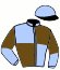 casaque portée par Bruneau J. jockey du cheval de course JE REVE DU BOIS, information pmu ZETURF