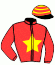 casaque portée par Martin Th. jockey du cheval de course FAUVE D'ERABLE, information pmu ZETURF