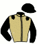 casaque portée par Pereira A. jockey du cheval de course FAKIR DU CHATEAU, information pmu ZETURF