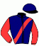 casaque portée par Marolleau C. jockey du cheval de course FELINA DE JOYERE, information pmu ZETURF
