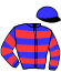 casaque portée par Darbord Mlle M. jockey du cheval de course GAVROCHE D'OMBLAIS, information pmu ZETURF casaque portée par Darbord Mlle M. jockey du cheval de course GAVROCHE D'OMBLAIS, information pmu ZETURF