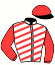 casaque portée par Lenoir M. jockey du cheval de course KALINA STAR, information pmu ZETURF casaque portée par Lenoir M. jockey du cheval de course KALINA STAR, information pmu ZETURF