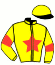 casaque portée par Raffin E. jockey du cheval de course KARAT COOL, information pmu ZETURF