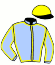 casaque portée par Berthelot J. jockey du cheval de course KALYPSO D'URSIN, information pmu ZETURF casaque portée par Berthelot J. jockey du cheval de course KALYPSO D'URSIN, information pmu ZETURF