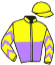 casaque portée par Ploquin Pau. Ph. jockey du cheval de course LORD FAUNTLEROY, information pmu ZETURF casaque portée par Ploquin Pau. Ph. jockey du cheval de course LORD FAUNTLEROY, information pmu ZETURF